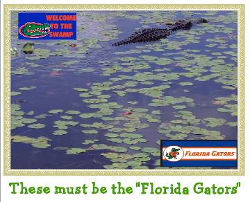 2015 Sarasota reunion, photo 185