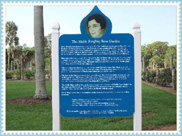 2015 Sarasota reunion, photo 197