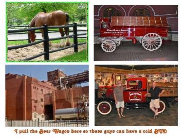 2013 St. Louis reunion, photo 86