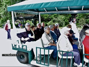Tour of Magnolia Plantation