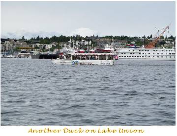 Seattle reunion, photo 140